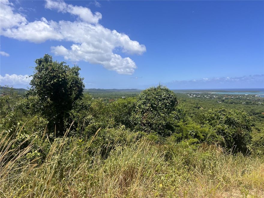 Spanning approximately 3.8 acres and offering potential panoramic views of Vieques’ southern coastline. The land’s generous size makes it perfect for a larger estate, eco-retreat, or a secluded Casita with private road access, lined with boulders and lots of shade.

Located in the tranquil La Hueca area, Lot 3 provides a true nature escape while remaining close to Esperanza, offering access to beaches, restaurants, and the island’s unique cultural charm. This parcel presents a rare opportunity for visionaries seeking to develop something meaningful, whether as a full-time residence or a vacation home that embodies the beauty and rhythm of island life.

Lot 3 is a blank canvas with extraordinary potential in one of Vieques’ most peaceful and inspiring settings.

May be purchased on its own or combined with Lot 1 @2.47 acres and Lot 2 , partially cleared with structure on @2.17 acres,  to create a prime ocean-view property.