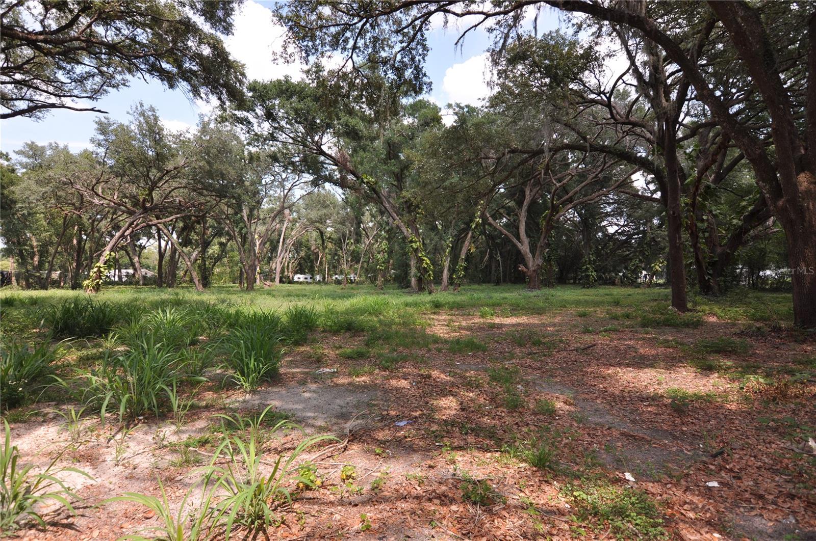 Build Your Dream Home on 1.46 Acres in Zephyrhills, FL – Prime Location, Endless Possibilities, additional parcel to the North is also available!
Discover the perfect canvas for your custom home on this 1.46-acre partially wooded parcel located in the heart of Zephyrhills, Florida. Nestled on a quiet, scenic stretch yet just minutes from shopping, dining, schools, medical centers, and recreational activities, this property offers the ideal balance of privacy and convenience.
With plenty of open space and mature trees, this lot provides the flexibility to design the home you’ve always dreamed of—whether you're envisioning a sprawling ranch, a modern farmhouse, or a tucked-away retreat with space for a pool, garden, or workshop.
The best part? The owner is a licensed builder and can bring your vision to life with a personalized design/build package. From concept to completion, you’ll have the opportunity to work with a trusted local professional who understands the unique charm and potential of the area. Already have a plan in mind? The builder can make it happen—or collaborate with you to create something completely custom.
Highlights:
1.46 acres of land – high and dry
Partially wooded for shade and privacy
No HOA or CDD fees
Plenty of space for home, garage, pool, and more
Zoned for single-family residential use
Builder-owner available for custom design/build home
Quick access to SR 54, US 301, and downtown Zephyrhills
Whether you're ready to build now or just dreaming of future possibilities, this property is a rare find in one of Pasco County’s most desirable and fast-growing communities.
Don’t miss this opportunity to create your private oasis close to it all—contact us today to walk the lot or discuss building options!