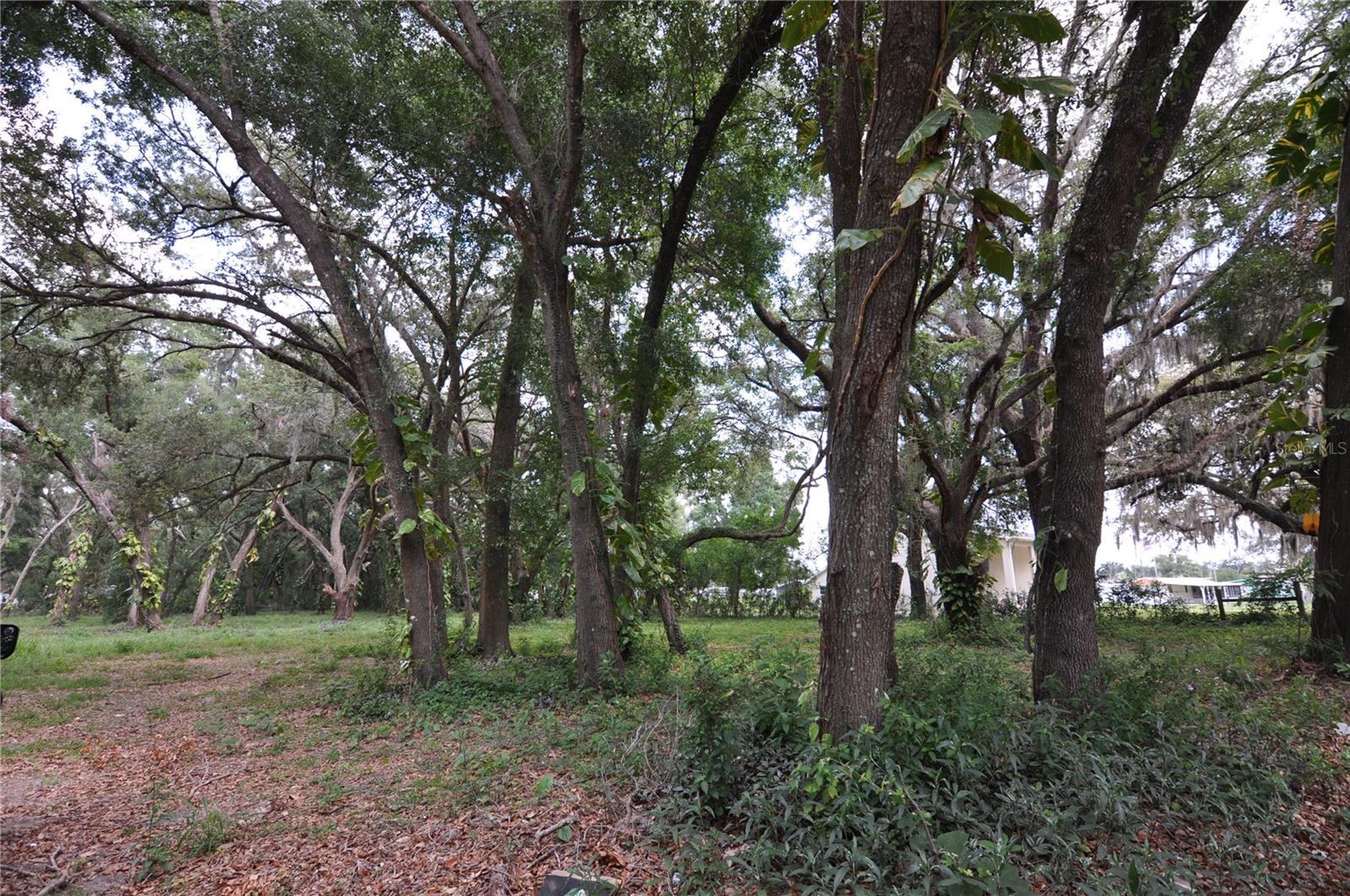 ZEPHYRHILLS COLONY CO - Land