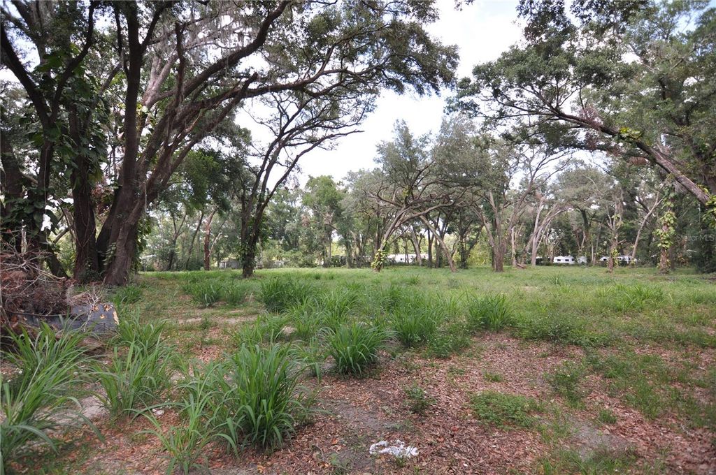Photo of 6734 20th Street, Zephyrhills, FL 33542 (MLS # TB8390305)