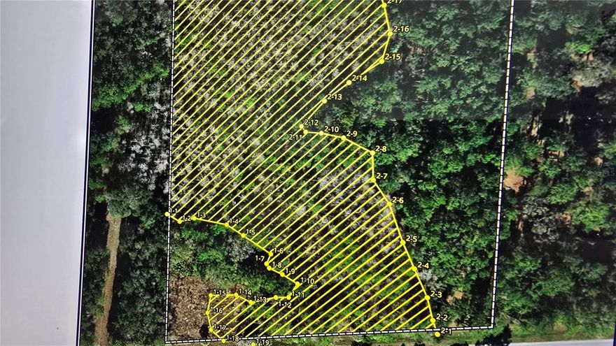 Wow! Just Reduced by $10k for a fast sale and now seller is offering Owner Financing!  Come drive by this 6+ acres just outside (west) of Ft McCoy directly on CR 316. This large parcel has lots of potential. Zoned A1, so you can have a residential farm, Site built home, new manufactured, or more. No HOA or restrictions. The best buildable part is in the back NE side. The NW side has flood zone A where there is some surface water (great for wildlife), but build on X where its high and dry. Plenty of deer and wildlife for the outdoor enthusiast. This listing is priced well below market value, so come drive by and see the possibilities! If you go there, the sign is about in the middle of the parcel. Walk onto the property on the East side first.
For GPS: 29°21'48.4"N  81°58'59.2"W  For owner financing, call for details: minimum down and rates apply.