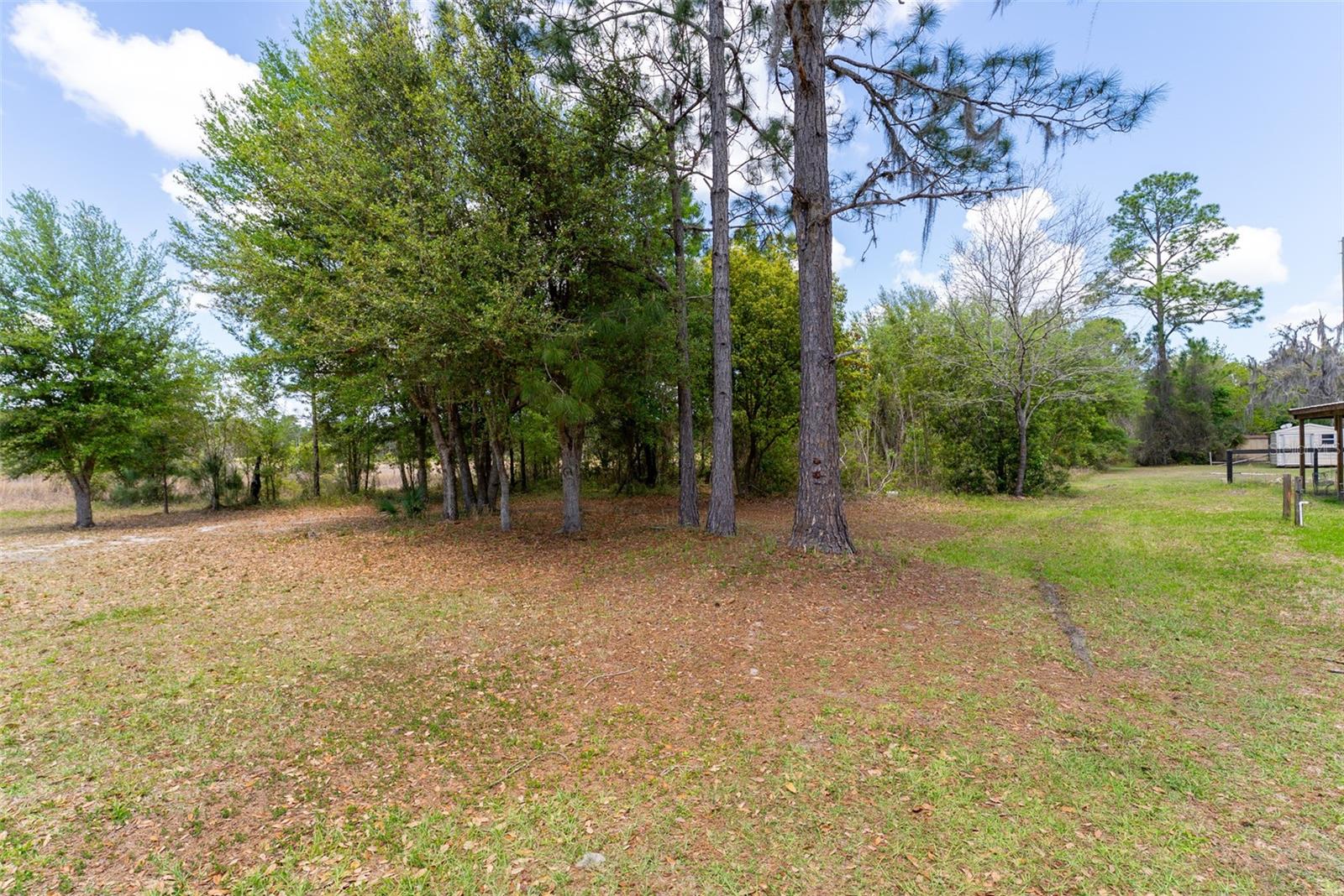 BUCKSKIN LAKE MANOR - Residential
