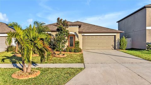 A home in WIMAUMA