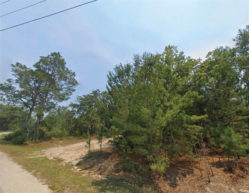 Photo of Malauka Place, Ocklawaha, FL 32179 (MLS # O6364903)
