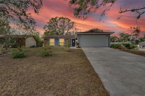 A home in BRANDON