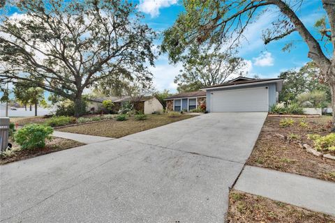 A home in BRANDON