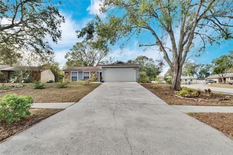 A home in BRANDON