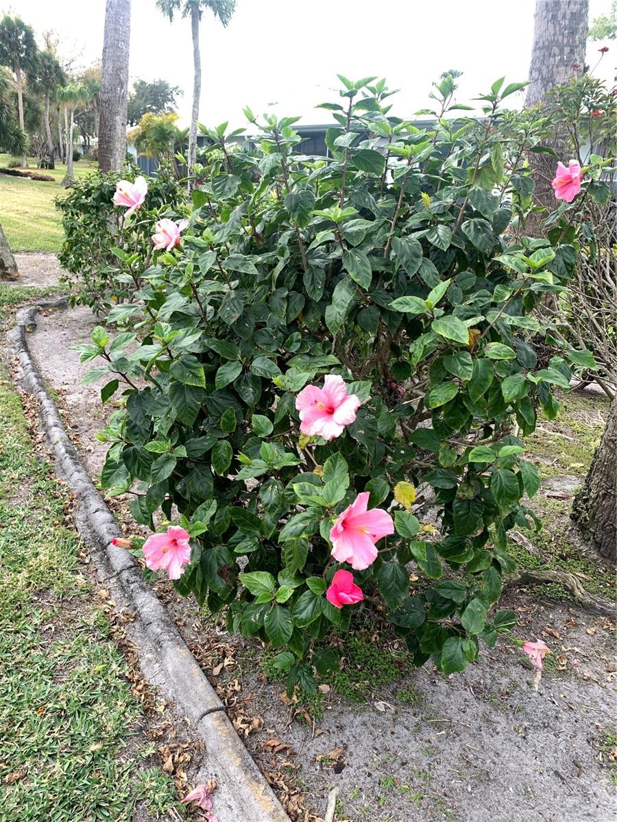 CENTER GATE VILLAGE 3 - Residential