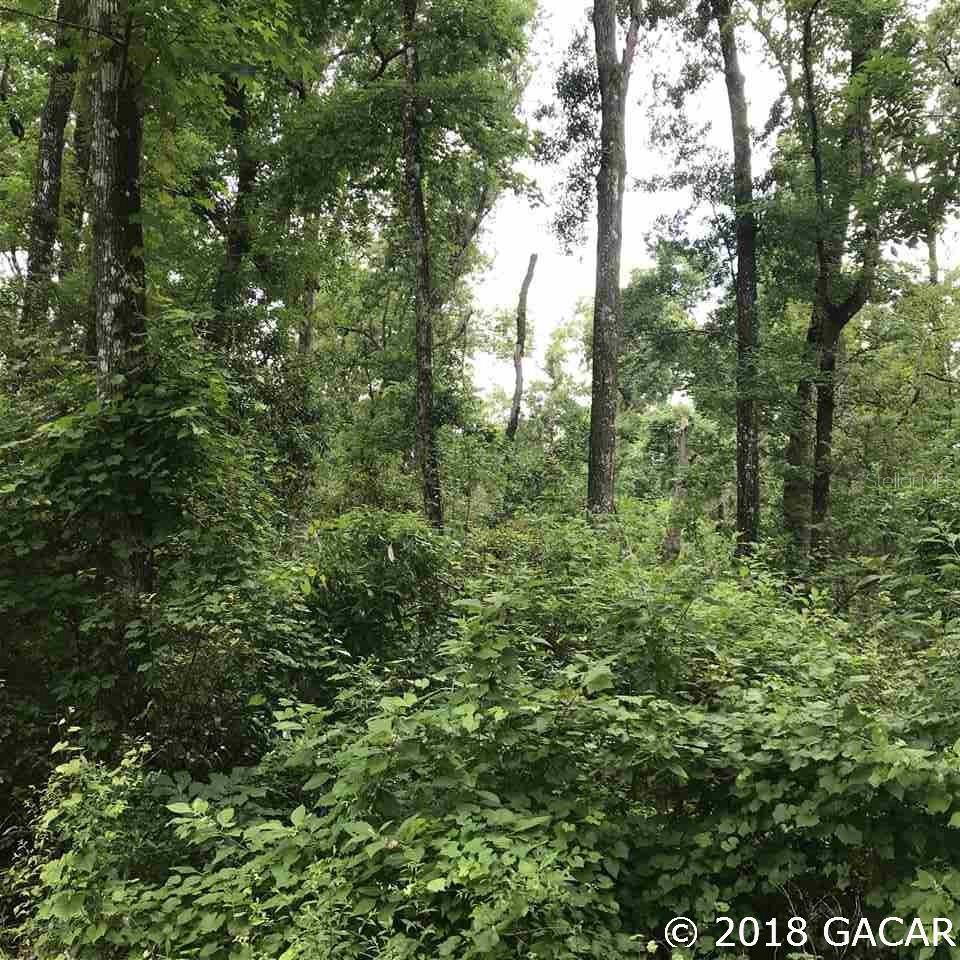 Near the river, this open builder lot would be great for your new home site or mobile home! There are nice trees on the property so you can choose your landscape. With a small voluntary association fees, you get deeded access to the local parks right on the Ichetucknee and Santa Fe River. Located on a paved road within minutes to downtown Ft. White and short commute to High Springs, Lake City and Gainesville. Open Builder.