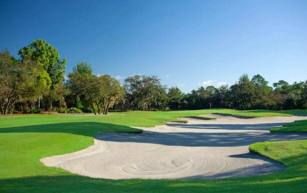 SUN N LAKE - Residential