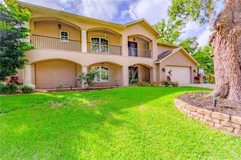 A home in SPRING HILL