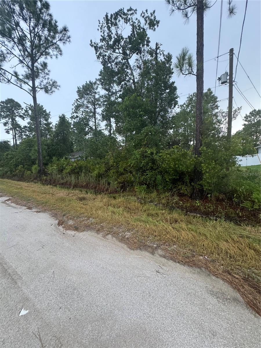 Prime Residential Lot in Daytona Park Estates – Build Your Dream Home! Seize this opportunity to own a .25-acre lot in the desirable Daytona Park Estates of DeLand! Nestled in an established neighborhood with newer homes, this quiet yet convenient location offers the best of both worlds—close to shopping, dining, and major roadways while maintaining a serene setting. Bring your own builder and create the perfect home on this spacious lot. Homes already built on both sides of the lot and in front! Don’t miss out on this fantastic opportunity!