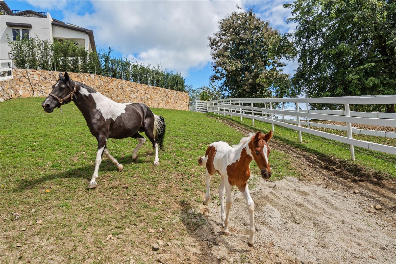 HACIENDA CARABALÍ LOT 7 - Residential