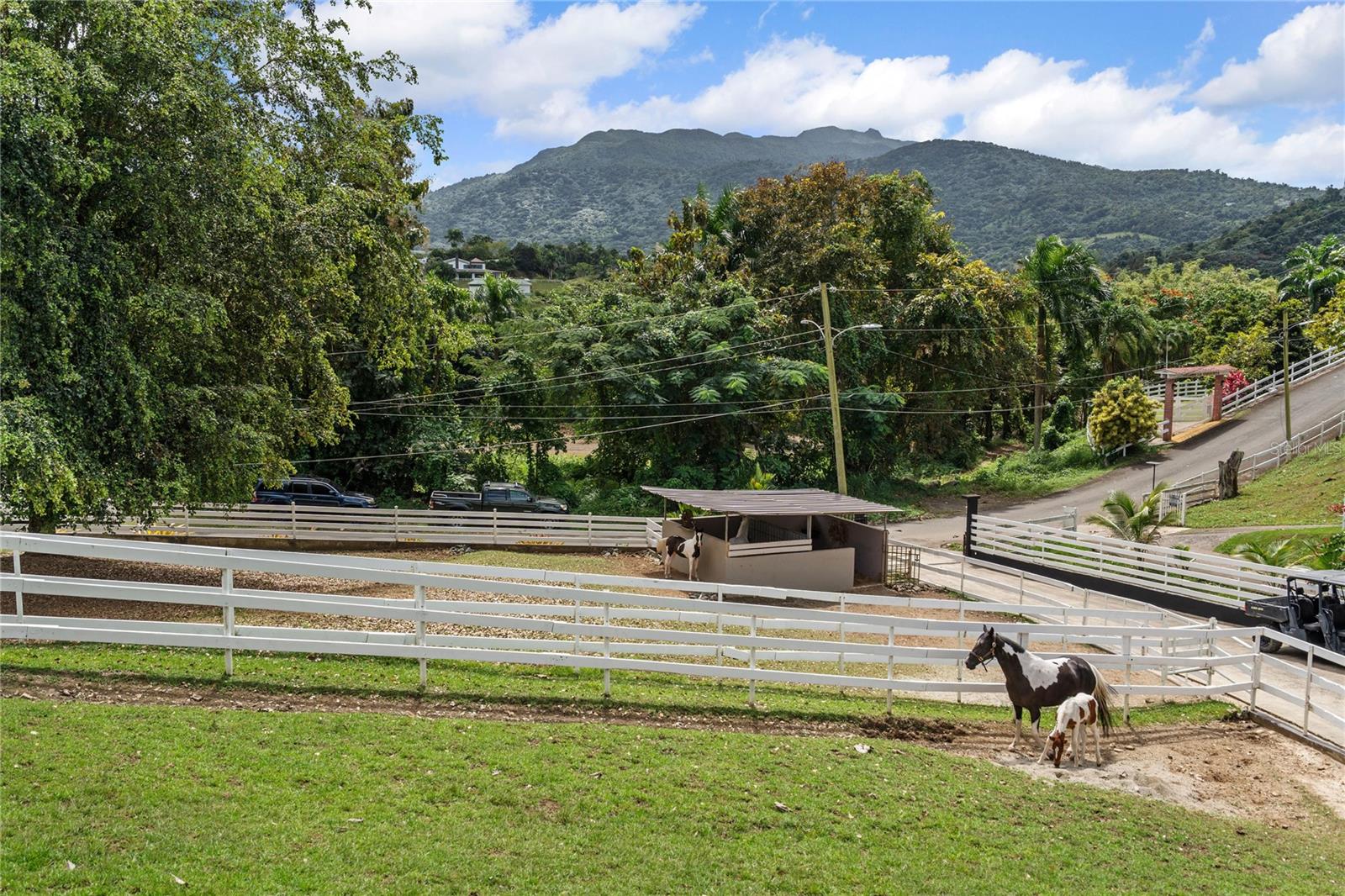 HACIENDA CARABALÍ LOT 7 - Residential