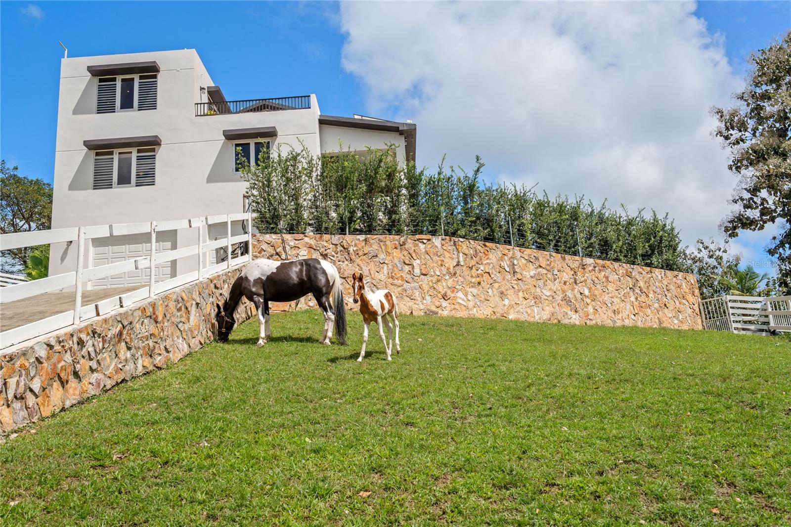 HACIENDA CARABALÍ LOT 7 - Residential