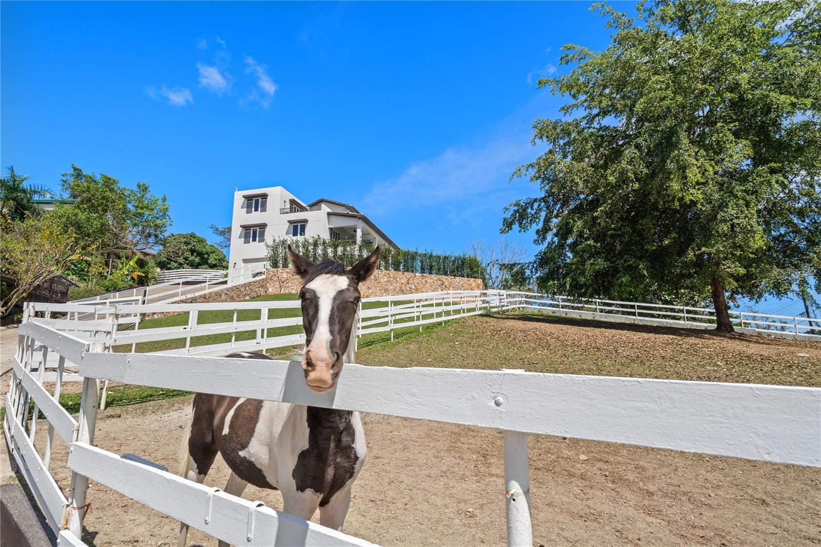 HACIENDA CARABALÍ LOT 7 - Residential