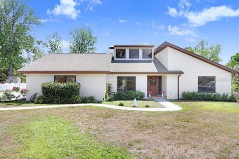 Photo of 4705 Fernstone Court, Brandon, FL 33511 (MLS # TB8504510)