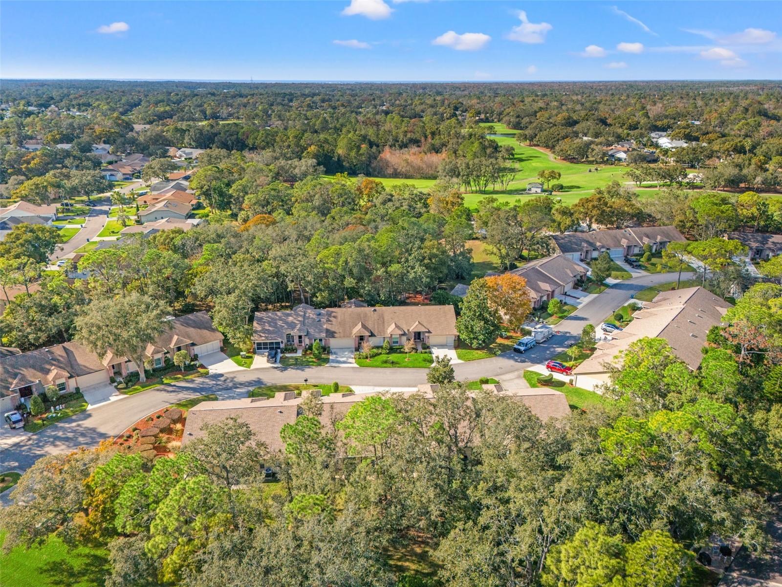 TIMBER PINES - Residential