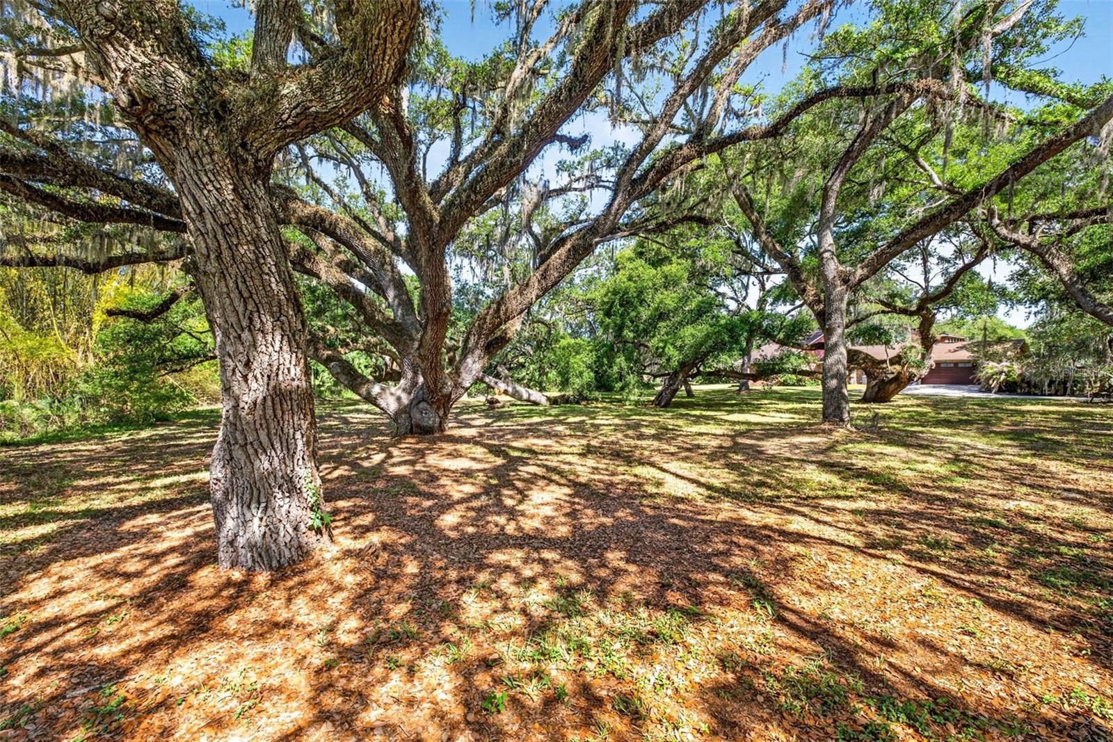 LAKE BERNADETTE GARDENS - Land