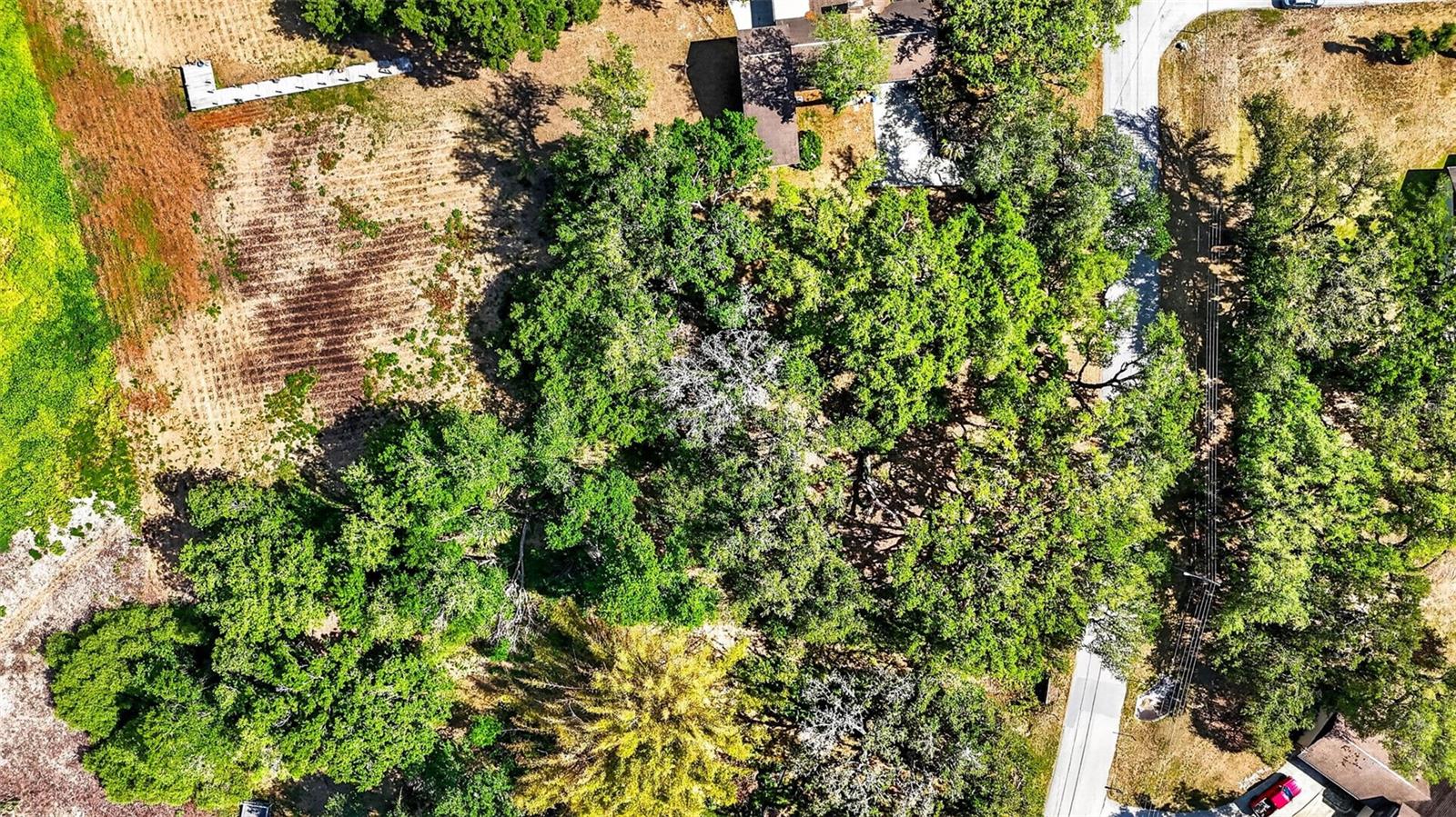 LAKE BERNADETTE GARDENS - Land