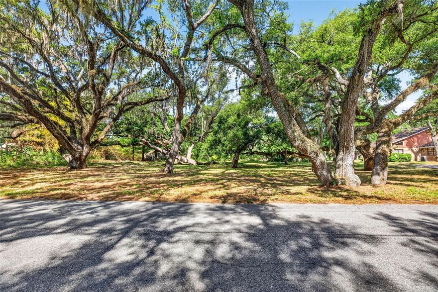 Build your dream home on this beautiful .87-acre lakefront lot nestled within the established community of Lake Bernadette. Surrounded by mature oak trees and offering peaceful water views, this property provides the perfect setting to create your own private retreat.Enjoy the best of both tranquility and community living with low HOA fees and no CDD fees—a rare find. Residents of Lake Bernadette have access to an impressive lineup of amenities, including a golf course, tennis courts, basketball courts, playground, community pools, and a clubhouse.Whether you’re envisioning a custom estate or a cozy lakefront getaway, this homesite delivers the ideal blend of natural beauty and lifestyle convenience. Cruise the neighborhood by golf cart, take in the scenic surroundings, and experience everything this sought-after community has to offer.Opportunities like this don’t come around often—secure your piece of lakefront living today.