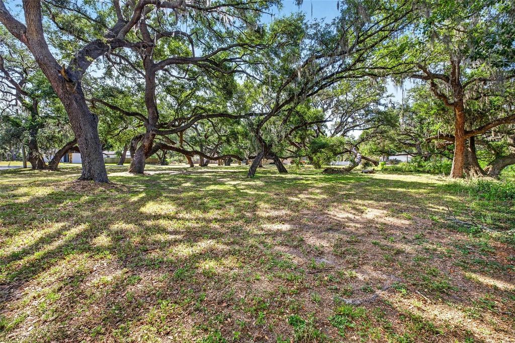 Photo of 5355 Bernadette Dr, Zephyrhills, FL 33541 (MLS # TB8499509)
