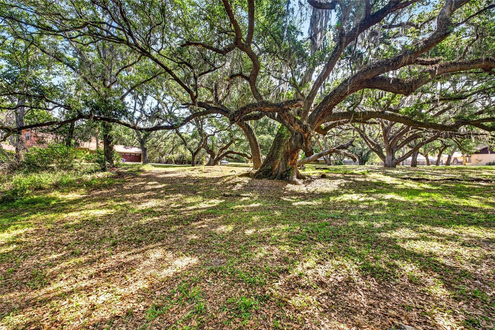 LAKE BERNADETTE GARDENS - Land