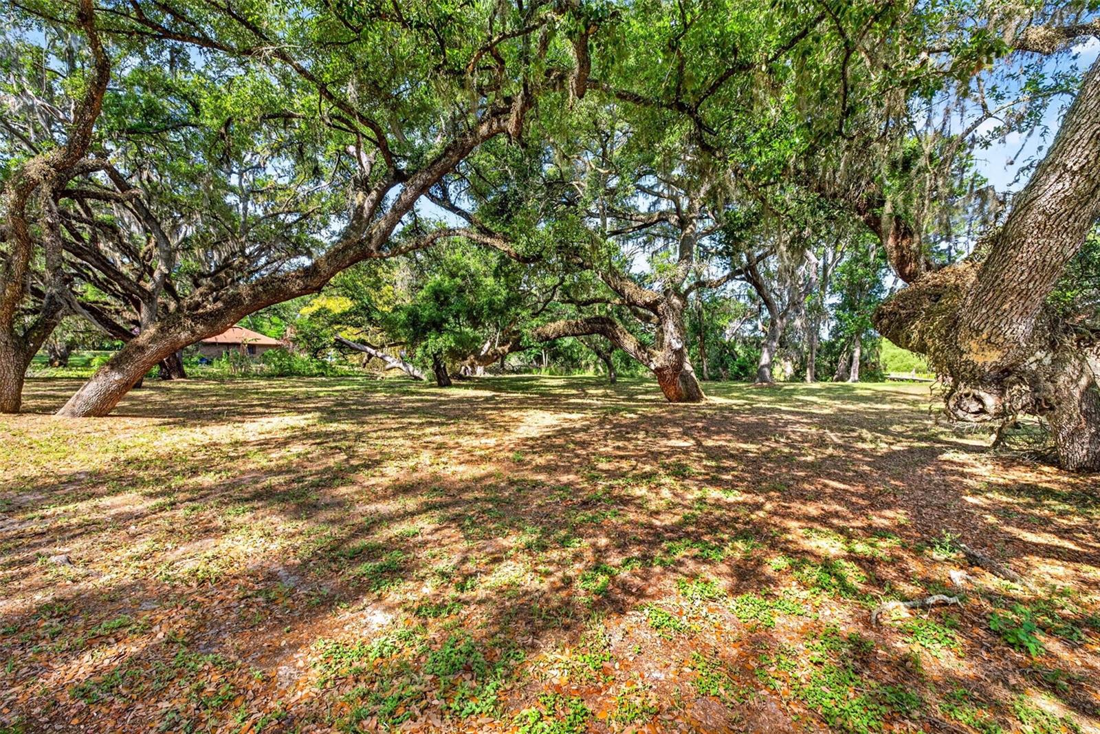 LAKE BERNADETTE GARDENS - Land