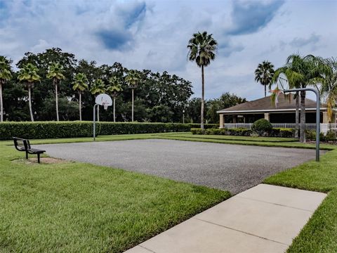 A home in PLANT CITY