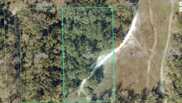 33099 CORAL ROCK DR, WEBSTER, FL 33597 - Image 49b2dcdc281ba5b8dbefe5b18e19aefa/2073031863