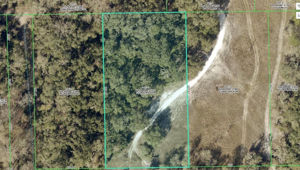 Photo of 33099 Coral Rock Drive, Webster, FL 33597 (MLS # A4707134)