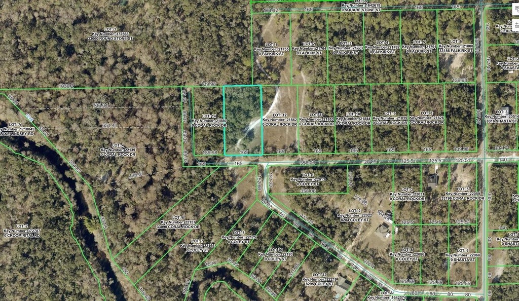 Photo of 33099 Coral Rock Drive, Webster, FL 33597 (MLS # A4707134)