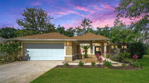 76 EMERSON DRIVE PALM COAST FL 32164