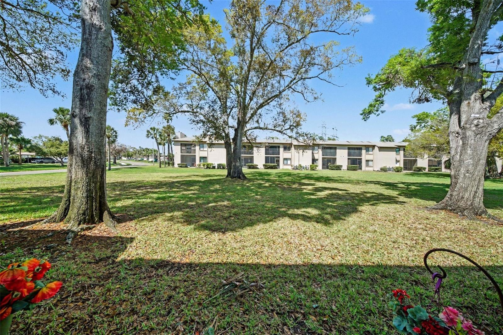 EAST LAKE WOODLANDS CONDO - Residential