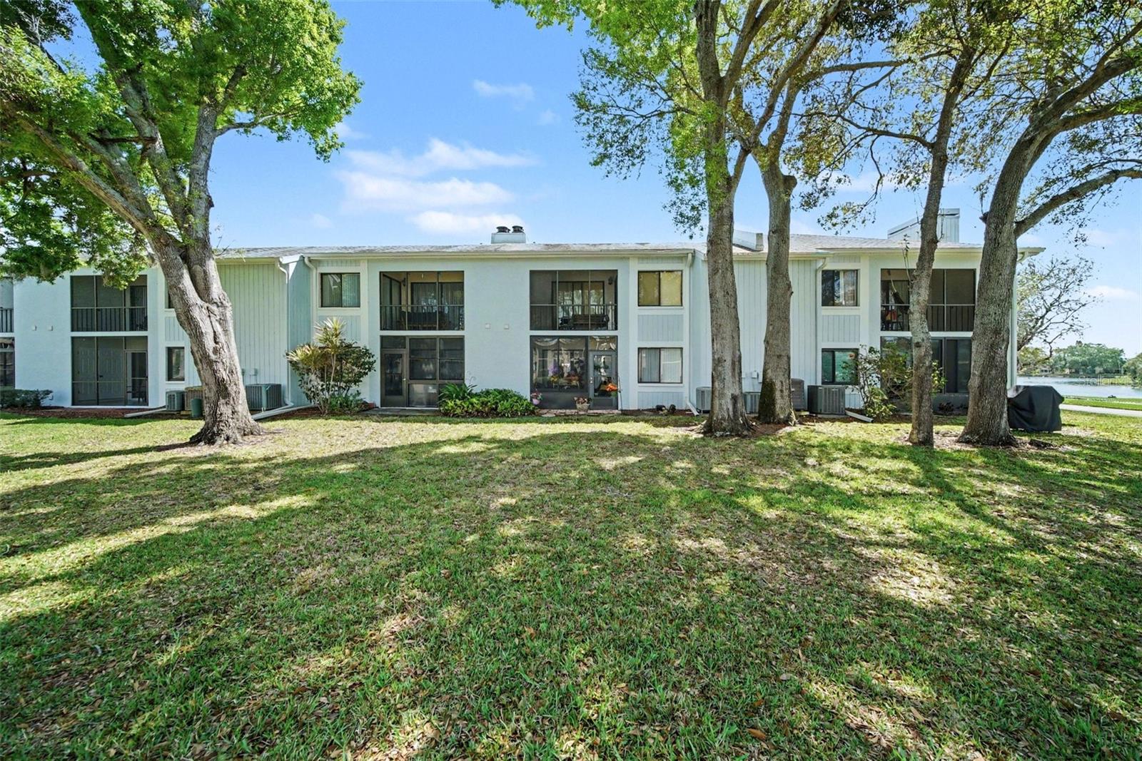 EAST LAKE WOODLANDS CONDO - Residential