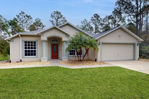 A home in PALM COAST