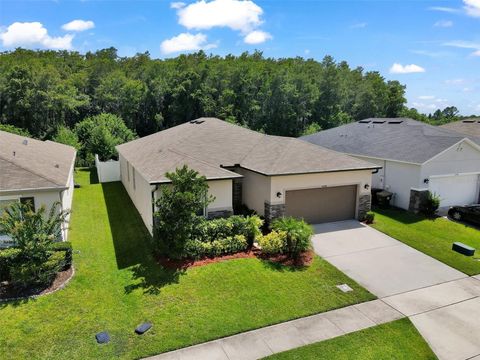 Photo of 4548 Orchard Grove Road, Saint Cloud, FL 34772 (MLS # S5145444)