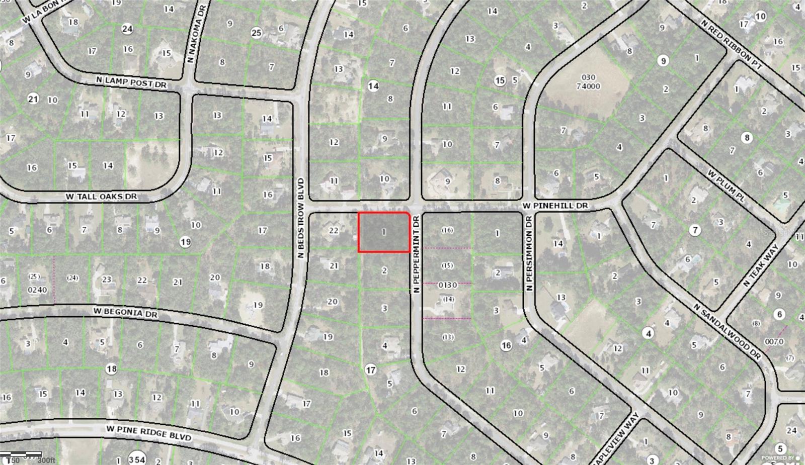 5212 N PEPPERMINT DRIVE