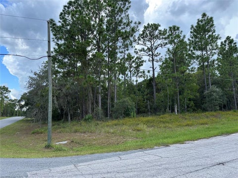Photo of 5212 N Peppermint Drive, Beverly Hills, FL 34465 (MLS # OM731142)