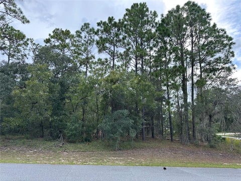 Tiny photo for 5212 N Peppermint Drive, Beverly Hills, FL 34465 (MLS # OM731142)