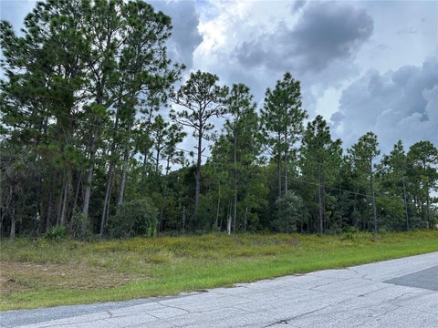 Tiny photo for 5212 N Peppermint Drive, Beverly Hills, FL 34465 (MLS # OM731142)