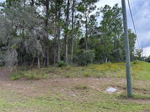 Tiny photo for 5212 N Peppermint Drive, Beverly Hills, FL 34465 (MLS # OM731142)