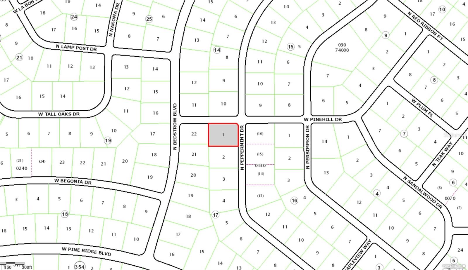5212 N PEPPERMINT DRIVE