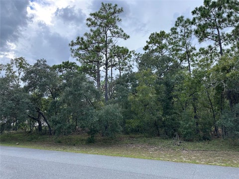 Tiny photo for 5212 N Peppermint Drive, Beverly Hills, FL 34465 (MLS # OM731142)