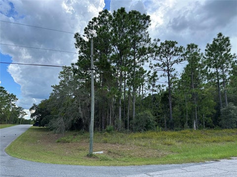 Tiny photo for 5212 N Peppermint Drive, Beverly Hills, FL 34465 (MLS # OM731142)