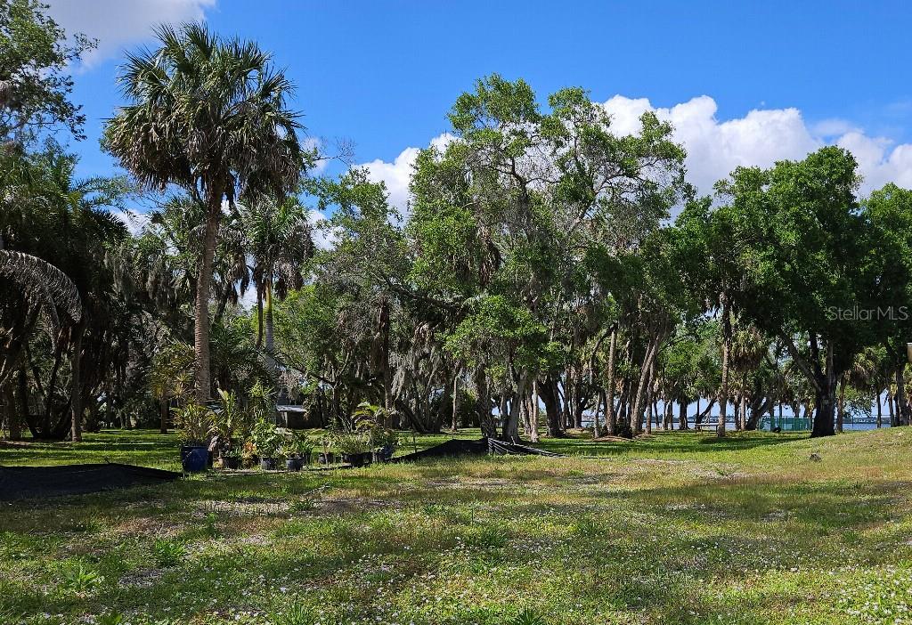 RIVERSIDE HEIGHTS - Land