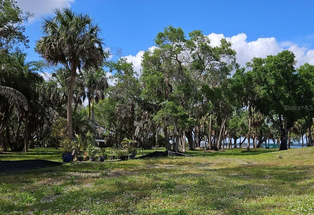 Photo of 118 18th Street E, Bradenton, FL 34208 (MLS # TB8454583)