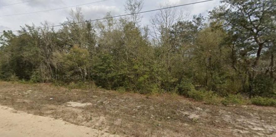 Explore an exceptional opportunity in Interlachen, FL! This 0.22-acre vacant lot is a blank canvas waiting for your imagination. Whether you’re envisioning a charming family home, a spacious estate, or a smart investment property, the possibilities are endless. Enjoy the peace and quiet of country living while remaining conveniently close to local schools, dining, and everyday essentials. With its serene surroundings and boundless potential, this parcel is perfect for bringing your dream lifestyle to life. Don’t miss your chance to turn your vision into reality!