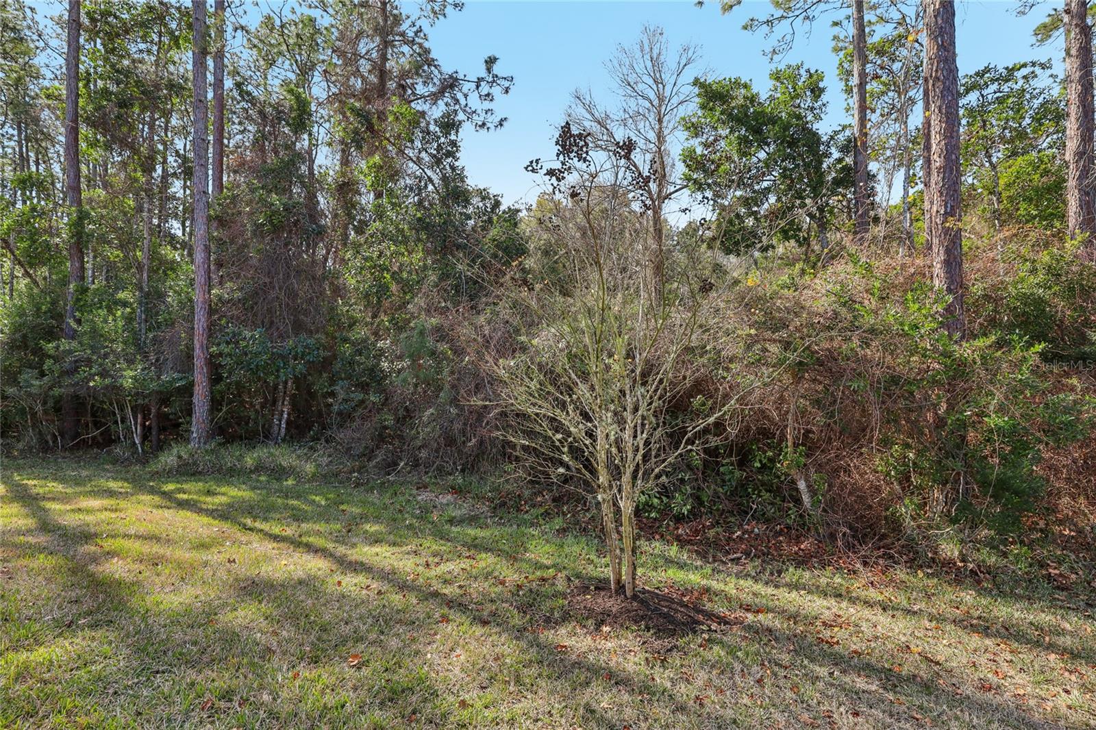 PALENCIA NORTH PH I - Residential