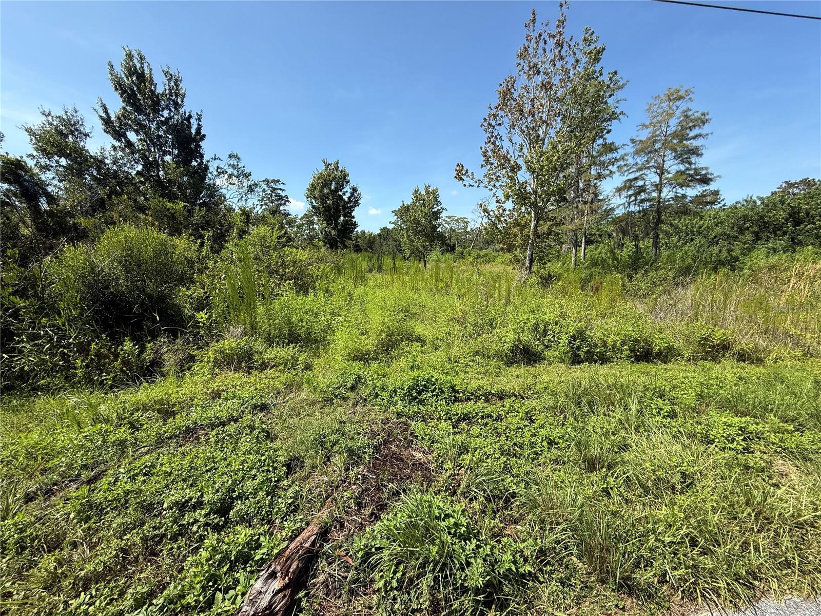 CANAVERAL ACRES 2 - Land